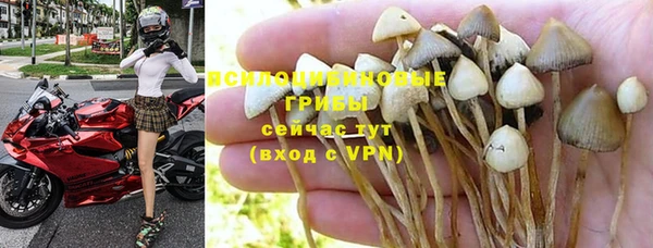 винт Наволоки