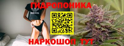 сатива Гай