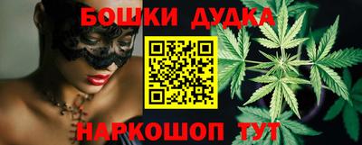 сатива Гай