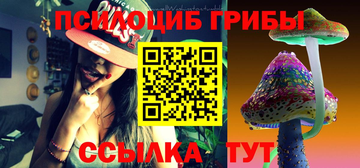 наркотики  Кемерово  Псилоцибиновые грибы ЛСД 